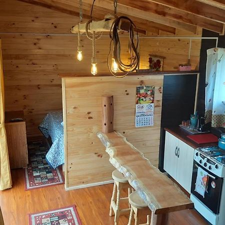 Cabana Del Campo Hornopiren Εξωτερικό φωτογραφία