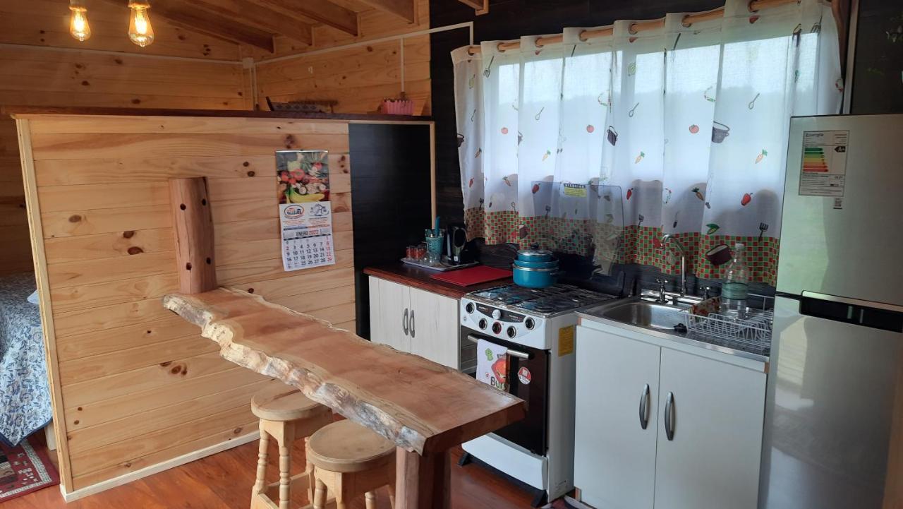 Cabana Del Campo Hornopiren Εξωτερικό φωτογραφία